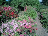782848e0.JPG