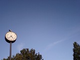 a626d3e8.JPG