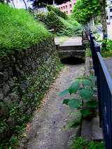 881e5325.jpg