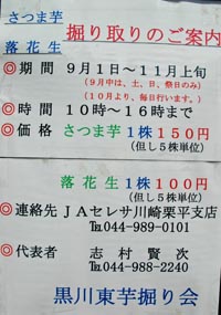 案内文200
