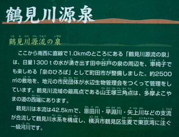 鶴見川350