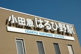 haruhino