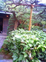 うなぎ4