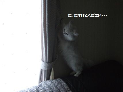 2009_1025みゅう0049