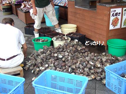 2009_0812江ノ島旅行0033