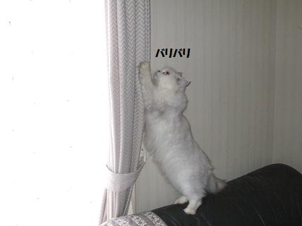 2009_1025みゅう0051