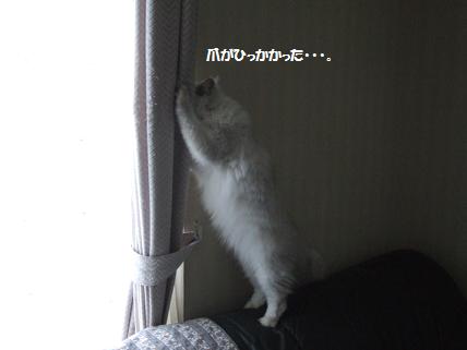 2009_1025みゅう0050