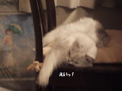 2009_0919みゅう0007