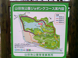 ジョギングコース
