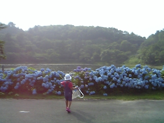 ひまりちゃん