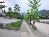 68a37d6f.JPG