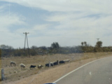 DSC06956
