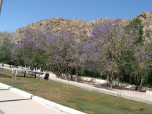 DSC07149