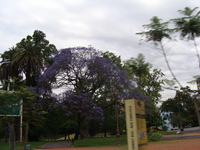 DSC06921