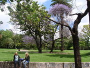 DSC07303