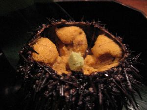 uni