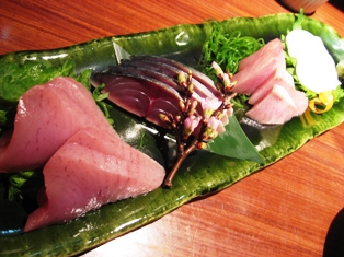 sasimi