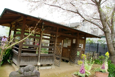 門