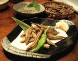 きびなご