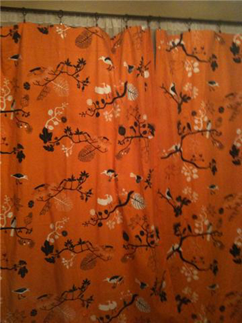 curtain1