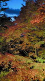 e02d549b.jpg