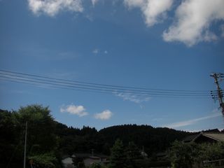 08082901