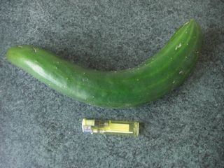 08082502