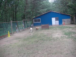 08083003