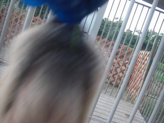 08090106