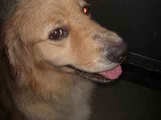 08082806