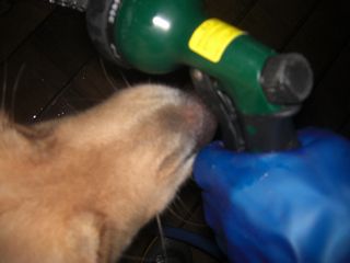 08090302