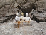 シブがき島1