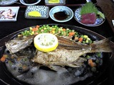 ���ڳ���ʪŹ2
