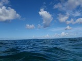 鳩間島サンゴ25