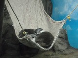 水族館3