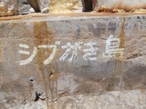 シブがき島2