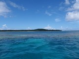 鳩間島サンゴ1