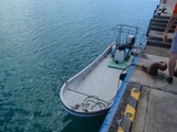 鳩間島サンゴ
