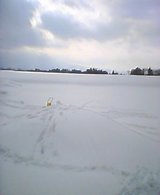 雪遊び