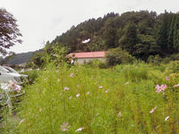asunaro3