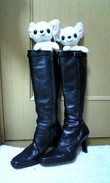 boot