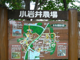 �����襤