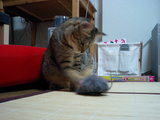 093985e0.JPG