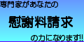 �ּ�������