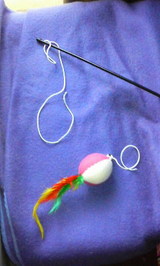 f072bfcf.jpg