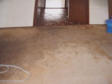 P1010167