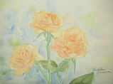 '09薔薇-その後のその後- 〔March 15, 2009〕