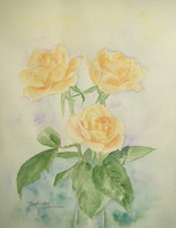 '09薔薇-その後- 〔February 26, 2009〕