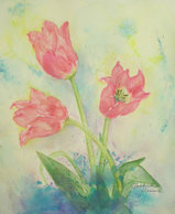 tulip^^ 〔Feburuary 17, 2009〕