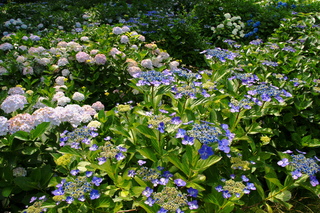 37ab3109.jpg
